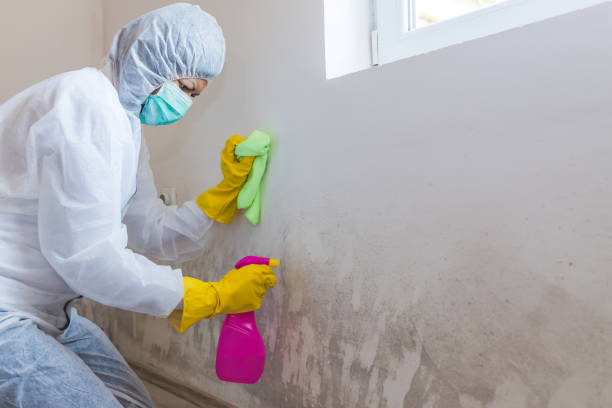 Best Commercial Mold Inspection  in Robins Af, GA